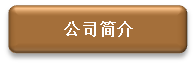 公司简介